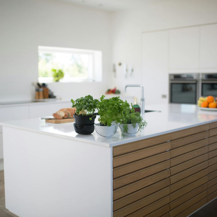 Utensilios y organización de cocina con diseño funcional y estética limpia Casa Love